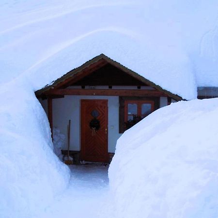 Treti Chalupa U Smrciny Janske Lazne Exterior photo